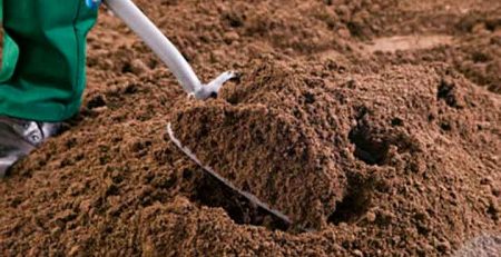 Quality Topsoil Supplier